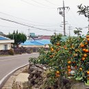 토산2리사무소 이미지