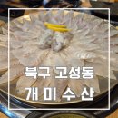 개미수산 - 서천군 충절로 42 | 대구 침산동 웨이팅 있는 가성비 횟집 개미 수산