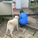 묘랑나랑 이미지