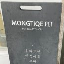 몽띠끄펫 이미지