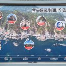 장호초등학교 이미지