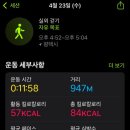 초록의파랑