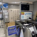 성남종합운동장 (스포츠센터) | 성남 스포츠센터 50m레일 자유수영 정보 (feat. 성남 다이빙장 아쿠아라인)