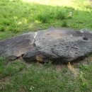 연천 고인돌공원 이미지