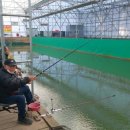 거두리낚시터 이미지