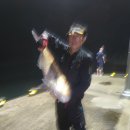 넙치민박 이미지