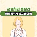 광주광역시 남구 월산동 교정치과 총정리