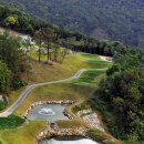 동강시스타 골프장 이미지