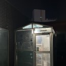 낙원볼태기 이미지