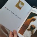 (주)뉴리더스 이미지