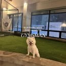 짐스맨헬스클럽 이미지