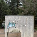 동물치유쉼터 | 평창 감성 숙소 추천 - &#39;전나무 숲 쉼터 밀브릿지&#39; 예약 방법 &amp; 숙소 정보