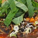 정성가득한약국 이미지