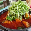 동물병원 왓슨 이미지