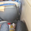 올래퍼피 이미지