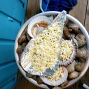 총각네수산 이미지