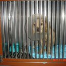 한결동물병원 이미지