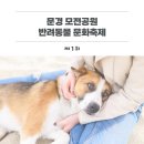 모전1-1공원 이미지