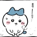 제이유엔 이미지