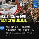 무슨 소리야? 이미지