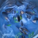 통영한바다 이미지