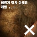 디자인공이공육(타투행크) | 강동구두피문신 강동두피문신 천호두피문신 두피문신잘하는곳 헤어라인디자인 타투행크 ㅡ 두피문신후기