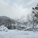 카페 희숙