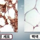 제세한의원 이미지