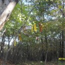 신녕소머리국밥 이미지