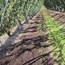 경운농장 이미지