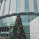 봉황태권도 | 국립중앙박물관 / 25겨울