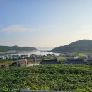 청산해산물집