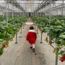 삼오농장 이미지