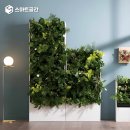 맑음그린 이미지