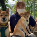 위드티쳐 이미지