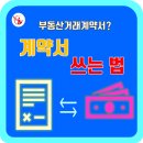 개성부동산중개사무소 이미지