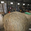 산청조섬유배합사료영농조합법인 이미지