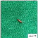 소랑동물병원 이미지