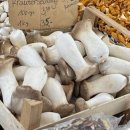 한국건강식품 이미지