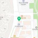 퍼피 비비드 강아지분양 하남미사본점 이미지