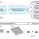 ㈜신아케미칼 이미지