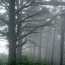 효성장여관 이미지