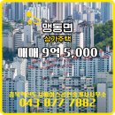 점포25공인중개사사무소 | 충북혁신도시에이스공인중개사사무소 맹동면 상가주택 매매 9억 5,000