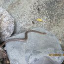 지리산 깊은골 이미지