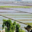 머물농장 이미지