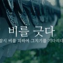 D00870 이미지