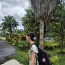 사모아 호스텔 | 퀸즈타운 여행 후기_1일차