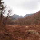 두원정공(주)