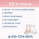 군위축협 동물병원 | 군위요크셔테리어분양 지금 이 기준 모르면 선택 계속 늦어집니다