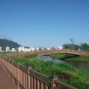 을숙도 생태공원 이미지